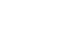 dominext logo