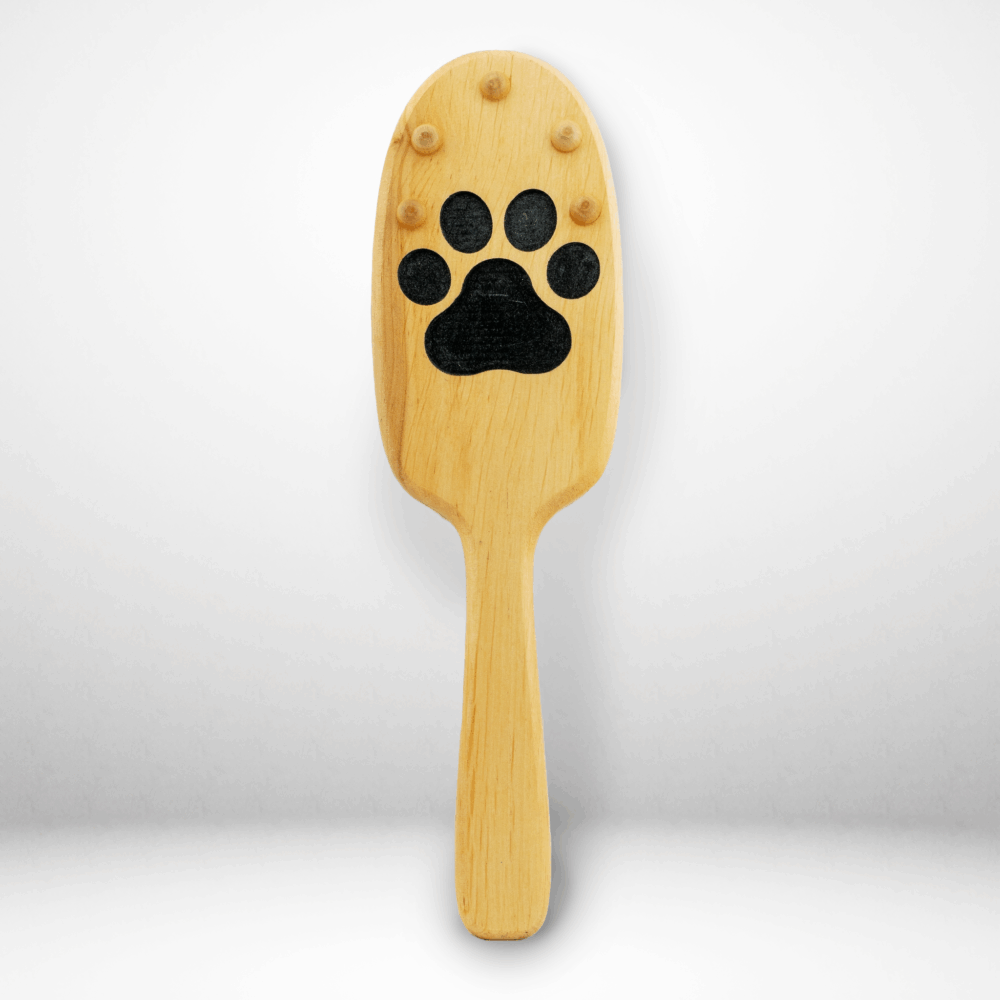 Paddle - Paw
