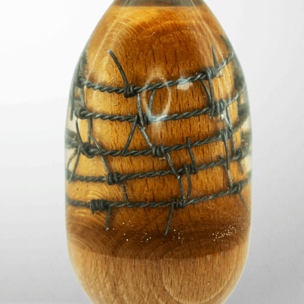 Barbed Wire Anal Plug - Image 2